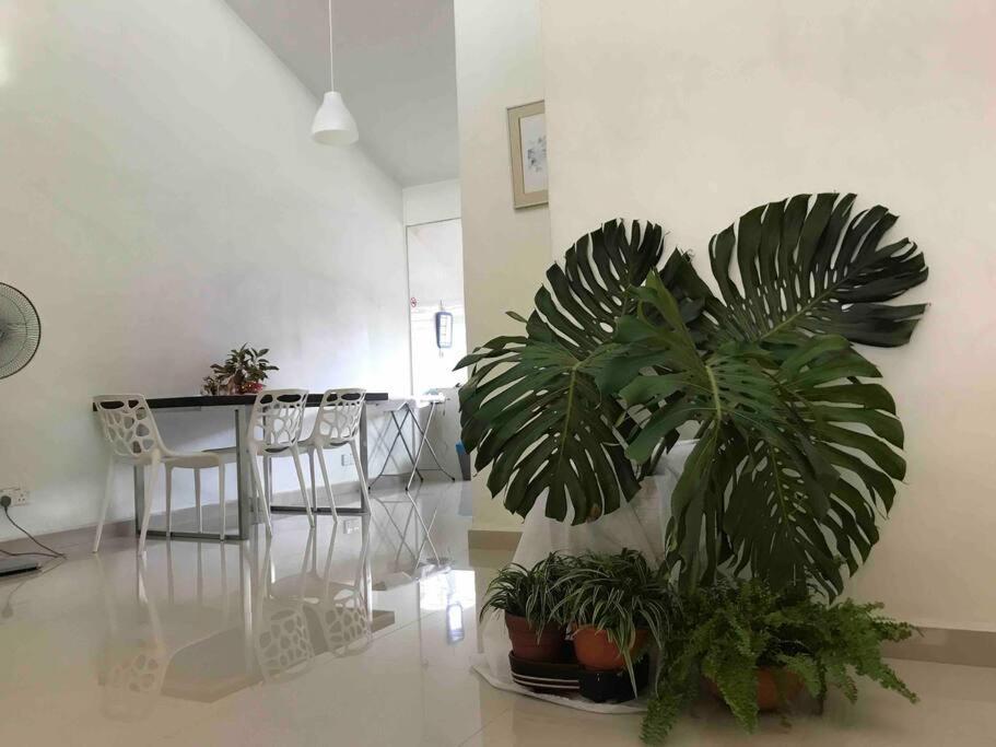 Terrace House Near Stulang Laut Ciq Midvalley Ksl For 7Pax جوهر بهرو المظهر الخارجي الصورة
