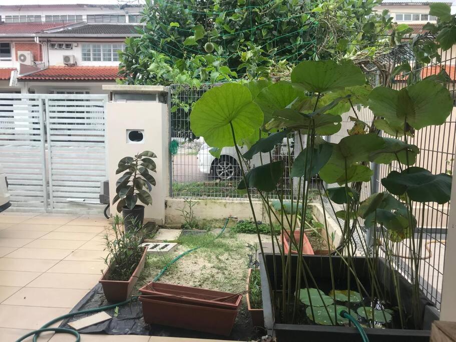 Terrace House Near Stulang Laut Ciq Midvalley Ksl For 7Pax جوهر بهرو المظهر الخارجي الصورة